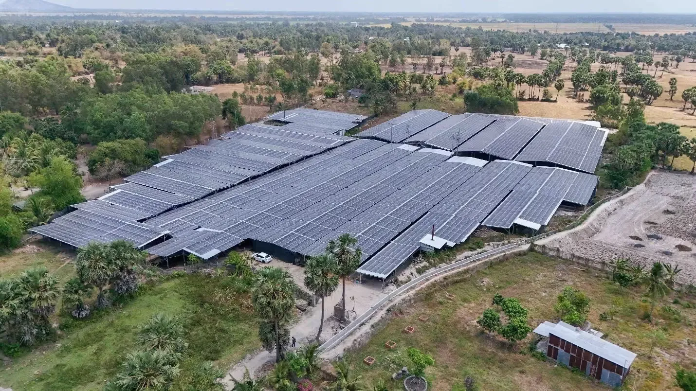 Các dãy nhà mái lợp tấm pin mặt trời giữa cây xanh và hàng thốt nốt, nhìn từ trên cao
