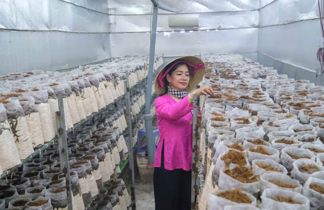 Chị Châu Thị Nương áo hồng, đội nón lá, đứng giữa những dãy kệ phôi nấm trong nhà trồng nấm có điều hòa