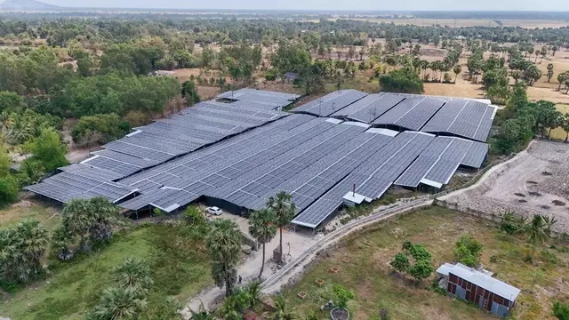 Ảnh chụp từ trên cao: mái pin mặt trời phủ kín các dãy nhà trồng nấm giữa vườn cây