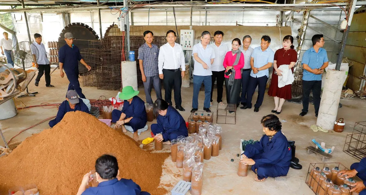 Đoàn khách đứng quan sát công nhân đóng giá thể quanh đống mùn nâu trong xưởng làm phôi