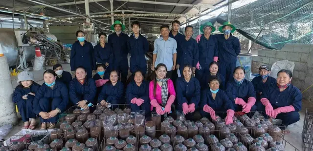 Đông đủ nhân công trong đồng phục xanh đứng và ngồi sau những hàng bịch phôi nấm