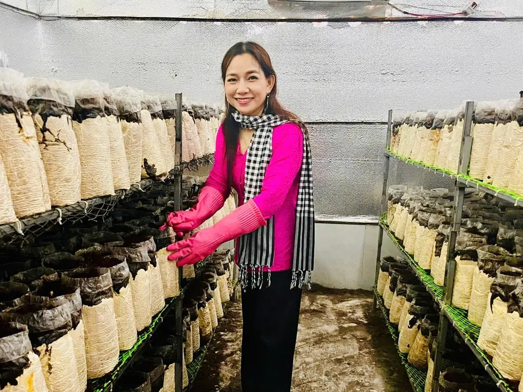 Chị Châu Thị Nương áo hồng, quàng khăn rằn, đeo găng tay chăm sóc phôi nấm trên kệ trong nhà nuôi