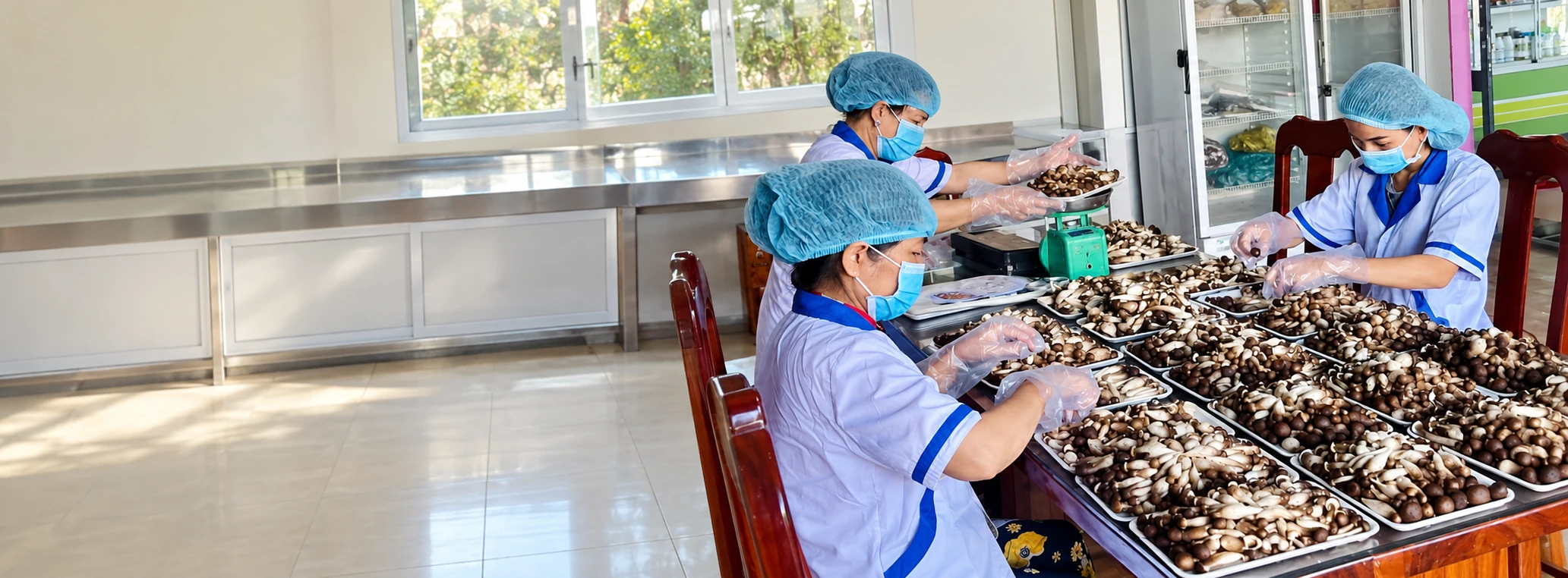 Nhân viên đội mũ trùm, đeo khẩu trang và găng tay phân loại nấm trên các khay trong khu sơ chế