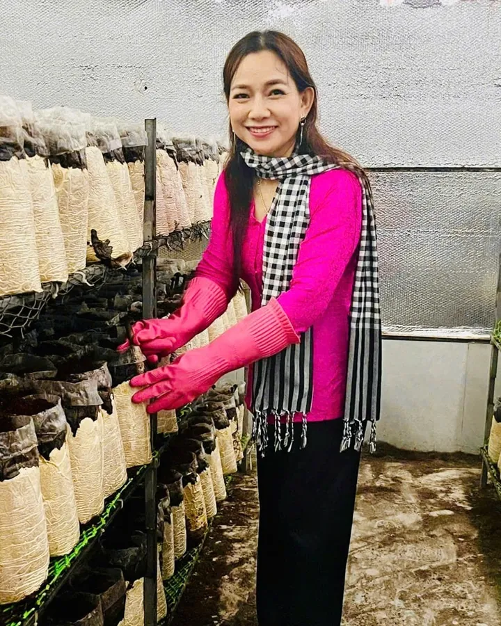 Một người phụ nữ mặc áo hồng, quàng khăn rằn, đeo găng tay đặt tay lên các bịch nấm trên kệ trong nhà trồng