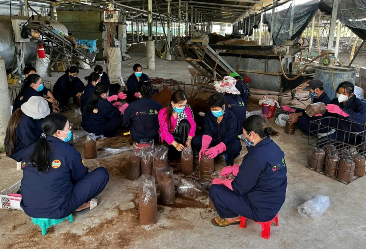Các lao động ngồi quanh đống giá thể trong nhà xưởng, đóng giá thể vào bịch để trồng nấm